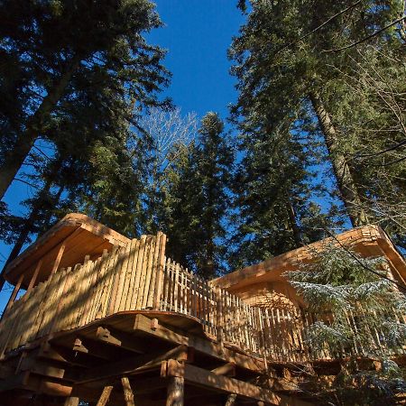 Domaine De L'Authentique Cabanes Dans Les Arbres Fournet-Blancheroche Экстерьер фото