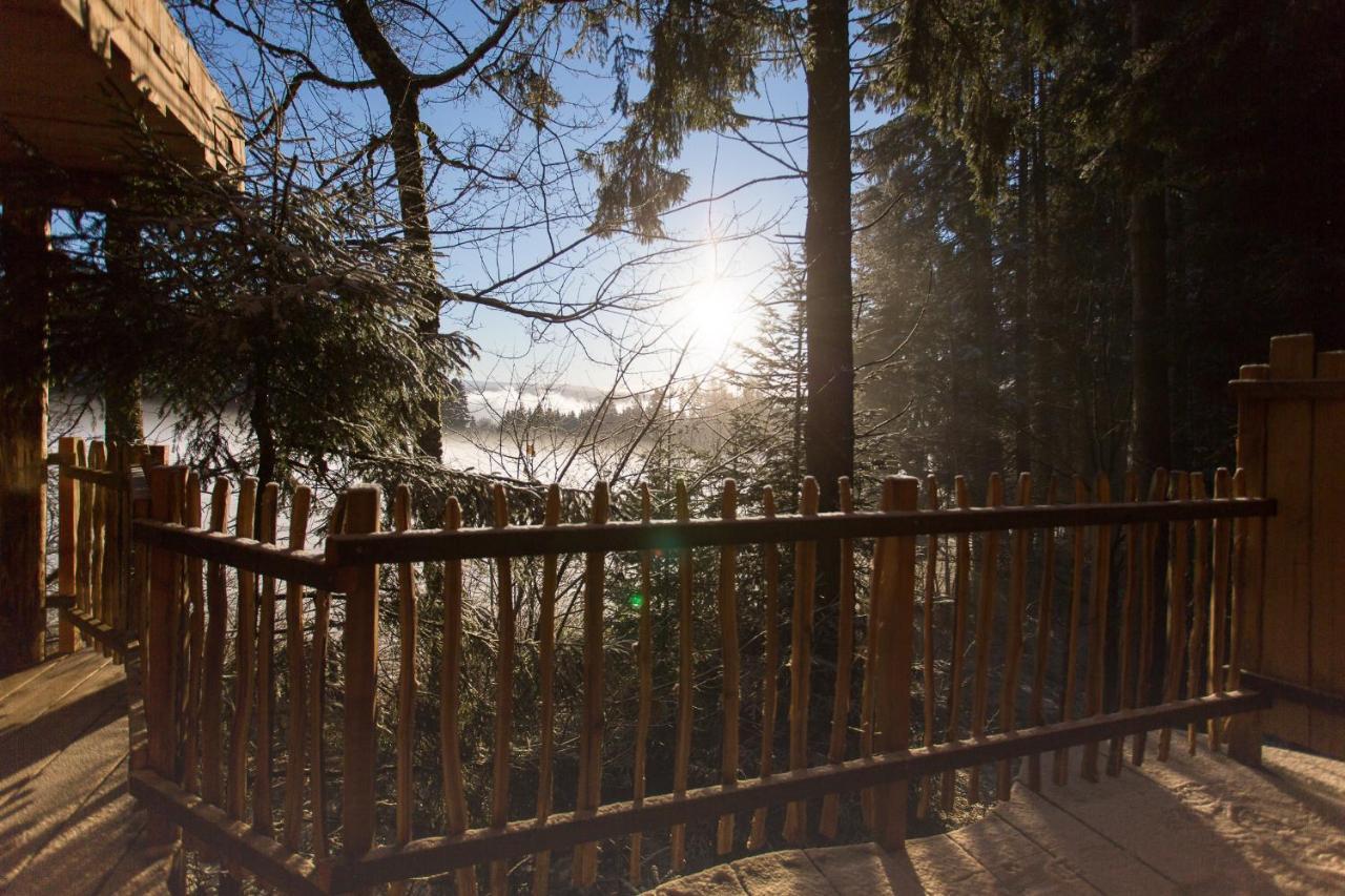 Domaine De L'Authentique Cabanes Dans Les Arbres Fournet-Blancheroche Экстерьер фото
