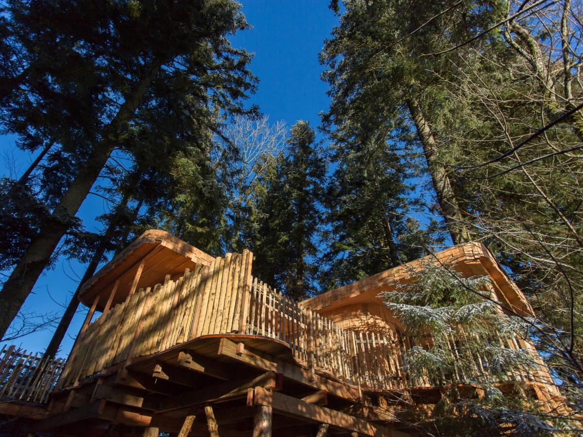 Domaine De L'Authentique Cabanes Dans Les Arbres Fournet-Blancheroche Экстерьер фото