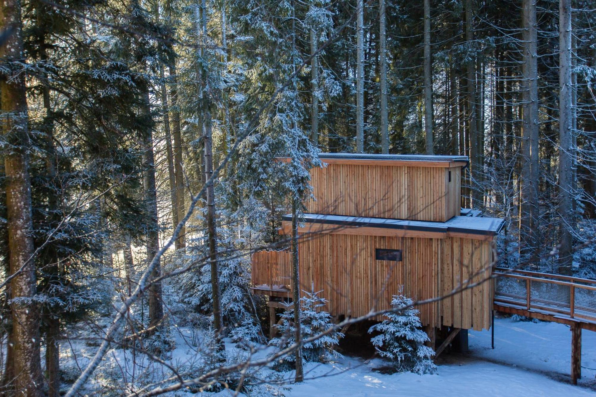 Domaine De L'Authentique Cabanes Dans Les Arbres Fournet-Blancheroche Номер фото