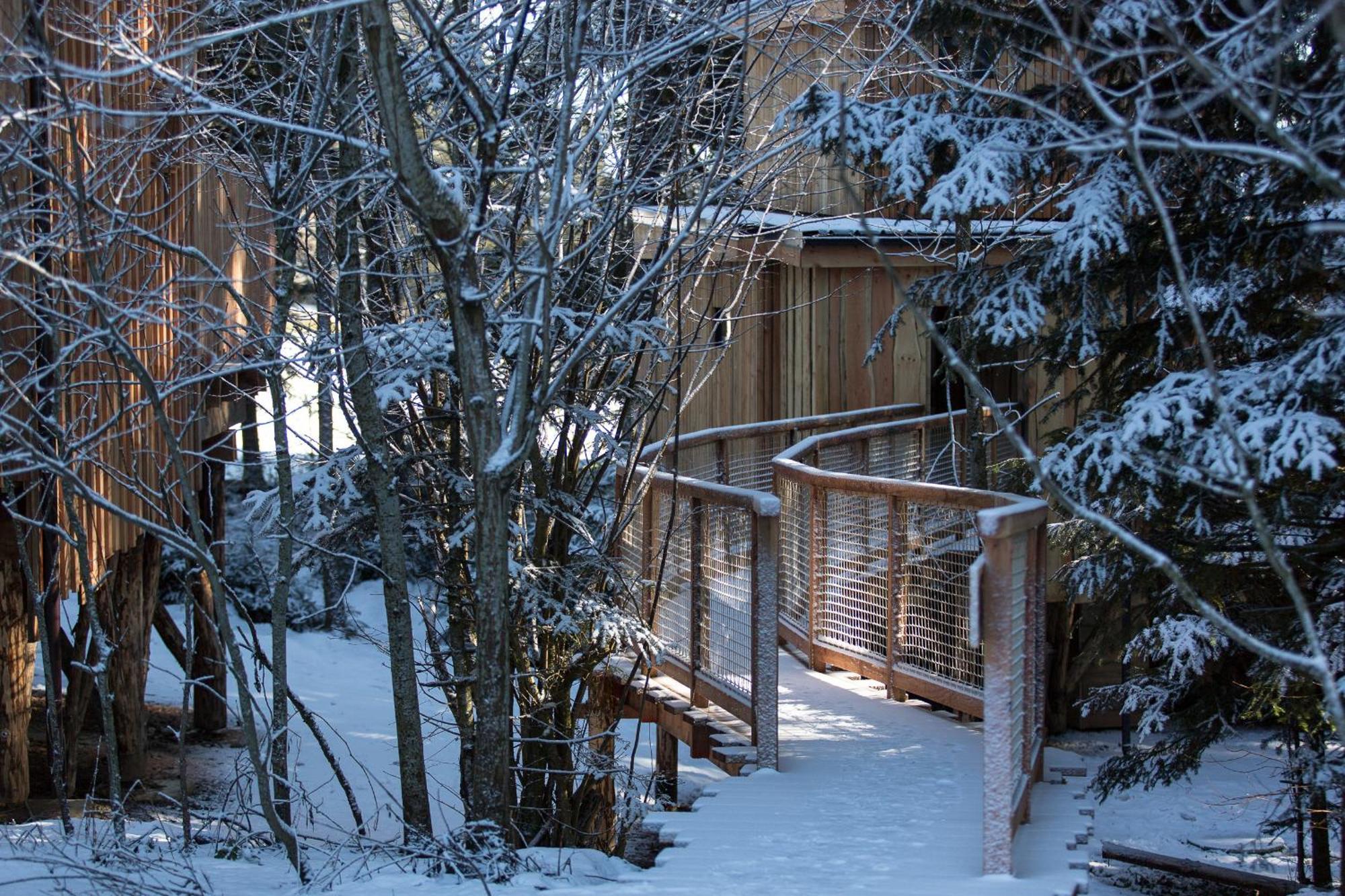 Domaine De L'Authentique Cabanes Dans Les Arbres Fournet-Blancheroche Номер фото